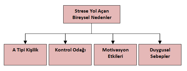 Kişisel özellikler, güçlü ve zayıf yönler, kişisel durum ve olaylar içeren bireysel nedenler.