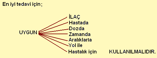 Şekil 1.1: İlaç uygulama kriterleri 1.2.2. İlaçların Sınıflandırılması ve Adlandırılması İlaçlar aşağıdaki şekilde sınıflandırılır.