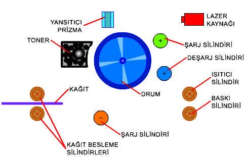 Resim 3.4: Lazer yazıcıya ait çalıģma prensibi Lazer yazıcının içinde bulunan en büyük parça drum dediğimiz, elektrostatik olarak yüklenebilen alüminyum bir silindirdir.