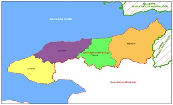 endüstrileşmiş ve yoğun nüfusa sahip İstanbul, İzmit ve Bursa illerinin ortasındadır. YMO ormanları rekreasyon ve eko-turizm açısından önemlidir.