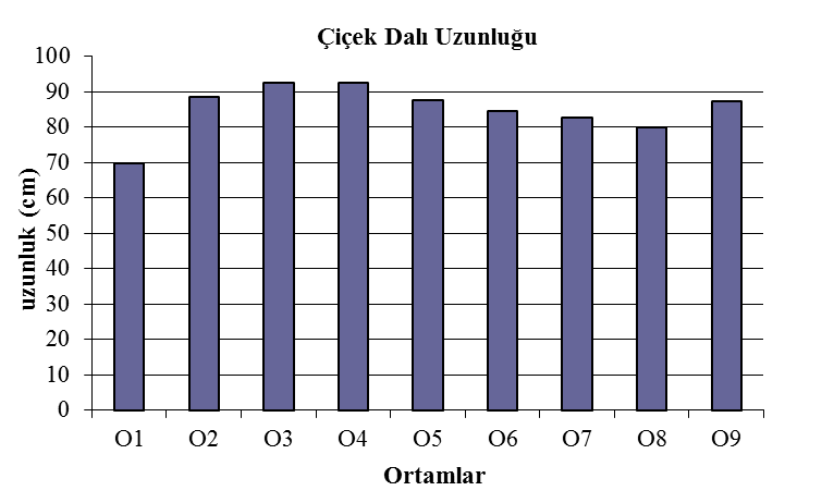 83 Başlıca çiçek dalı kriterlerinden olan çiçek dalı uzunluğu değerleri dikkate alındığında, yetiştiricilikte kullanılan farklı ortamlara göre ÇDU değerleri 69.67 cm ile 92.