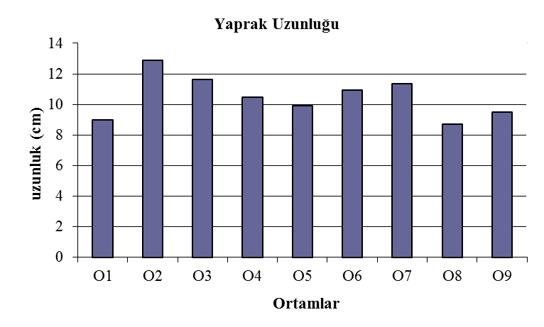 85 yetiştirilen bitkilerin en uzun YU değerlerine sahip oldukları saptanmıştır (Şekil 4.19)