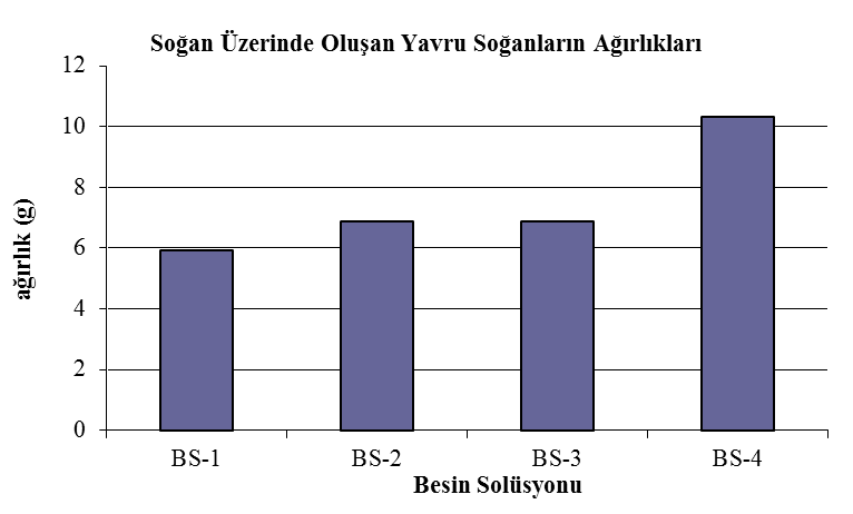 62 soğana sahip uygulama BS-2 ve BS-4' de en az yavru soğana sahip uygulama ise BS-1 ve BS-3'de belirlenmiştir (Çizelge 4.5).