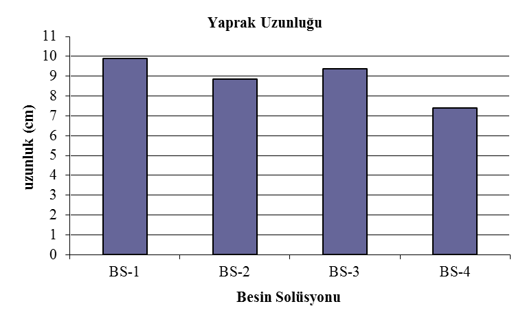 68 farklılık göstermemiştir En fazla yaprak 69.88 adet ile BS-1 solüsyonunun uygulandığı bitkilerden elde edilmiştir.