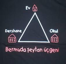 Obezite İnsülin direnci Oksidatif stres Metabolik Sendrom Tip 2 Diyabet (T2DM) Obezite ve ilişkili olan T2DM ve kardiyovasküler