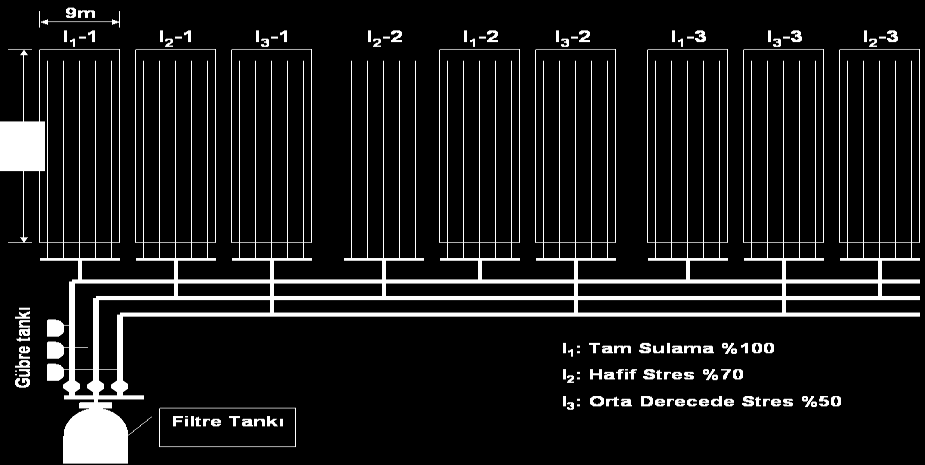 Ç.Ü Fen Bilimleri Enstitüsü Yıl:08 Cilt:19-2 8.4 m x m (0. m sıra aralıklı 12 sıra) boyutlarındadır. Deneme planı Şekil 1 