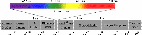 Gıdalarda Renk Tayini Bir gıdanın kabul edilebilirliği açısından renk, flavor ve tekstür üç önemli özellik olarak karşımıza çıkmaktadır.