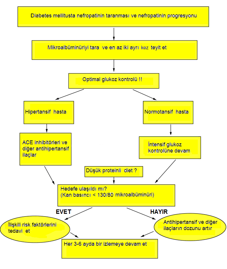 Şekil 2: Diabetes mellitusta mikroalbüminüri taraması ve progresyonunun önlenmesi (ACE-I Anjiotensin konverting enzim inhibitörü) (19).