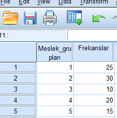 *Veriler SPSS e aşağıdaki gibi