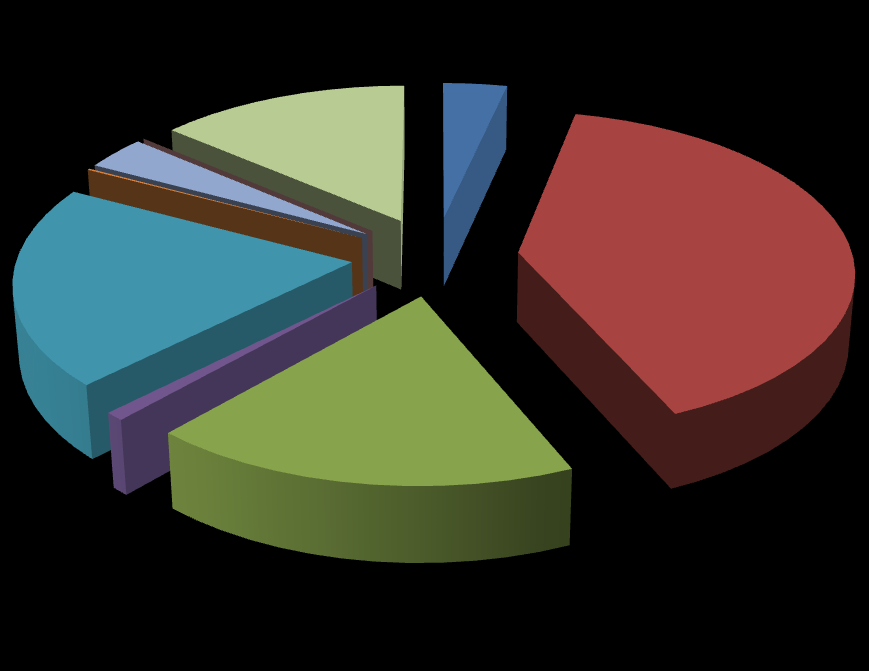 Planlı Denetimler 6% Plansız (Ani denetimler) 94% Planlı Denetimler Plansız (Ani denetimler) Grafik G.