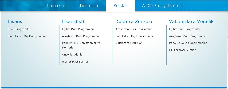 Detaylara Web Sayfasından