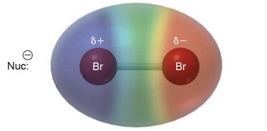 Yukarıda görüldüğü gibi, bir nükleofilin Br 2 molekülüne yaklaşması sonucunda Br atomları kısmi olarak yüklenerek atomlardan biri elektrofilik hale gelir.