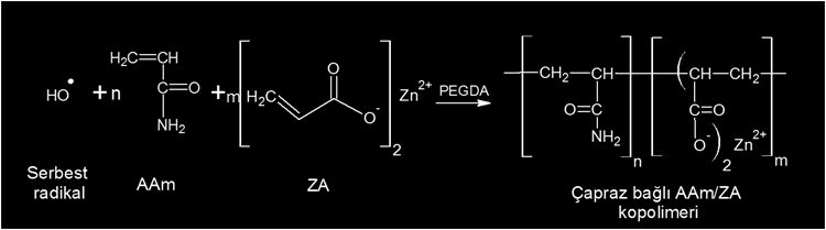 38 Şekil 4.3. APS/TEMED ile serbest radikal oluşumunun şematik gösterimi (Mohan vd., 2006) Şekil 4.4. Çapraz bağlı AAm/ZA kopolimerlerinin hazırlanması Şekil 4.3 ve 4.