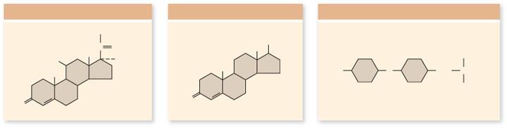 Çözünürlüklerine göre Hormonlar 1.