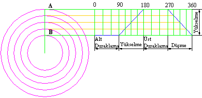 0-90 0 arası alt duraklama, 90 0-180 0 arası yükselme, 180 0-270 0 arası üst bekleme ve 270 0-360 0 arası düşme Saat yönünde dönme Adım adım kam profilini çizelim.