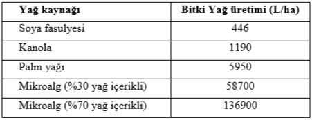 Bugün yüksek yağ içerikli mikroalgler