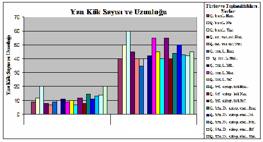 ġekil 7. Bir yıllık Quercus L. türlerinin kök ve gövde ağırlığı ġekil 8.