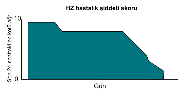 Hastalık yükü Hastalık yükü: ağrı ve rahatsızlık şiddetini gösterebilen bir indeks: 182 gün boyunca, aşının zona sıklığı ile ağrı