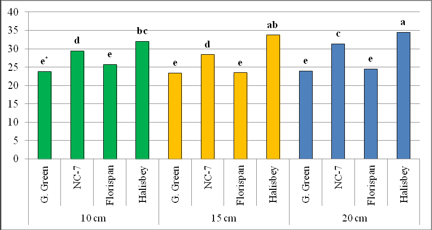 * Farklı renklerle gösterilen her konudaki gruplandırma, kendi içinde bağımsız değildir Şekil 4.