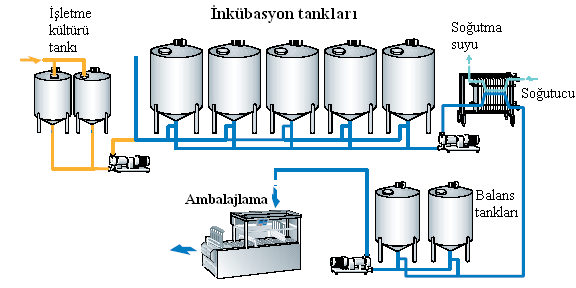 ġekil 2.2: Tanklarda inokülasyon ve inkübasyon Set tipi (pıhtısı kırılmamıģ) yoğurt üretiminde ise farklı bir yol izlenmektedir.