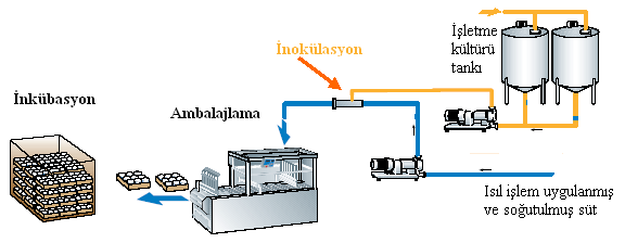 2.3.2.3. Sürekli Sistem (Direkt Ġnjeksiyon) Bu yöntem, yukarıda açıklanan yöntemin geliģtirilmiģ bir Ģekli olup kapalı bir sistem içerisinde inokülasyonun yapılmasıdır.