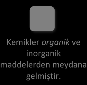 GİRİŞ Hareket sistemi insan vücuduna şekil verir ve insanın amaca uygun hareket etmesine imkân tanır. Lokomotor sistem olarak bilinen hareket sistemini kemikler, eklemler ve kaslar oluşturur.