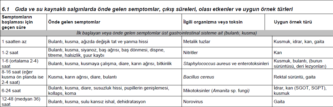 ÜST GIS