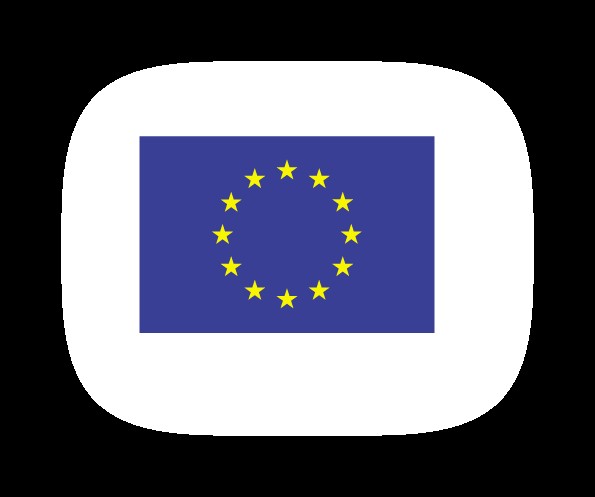 Energy demand of EU* Total energy consumption by fuel and