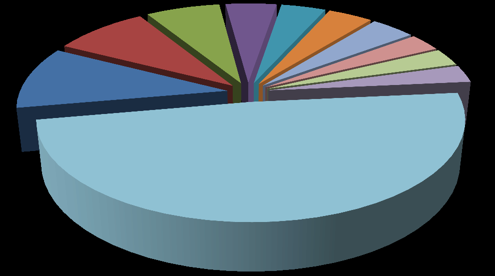 TÜRKMENİSTAN 1%