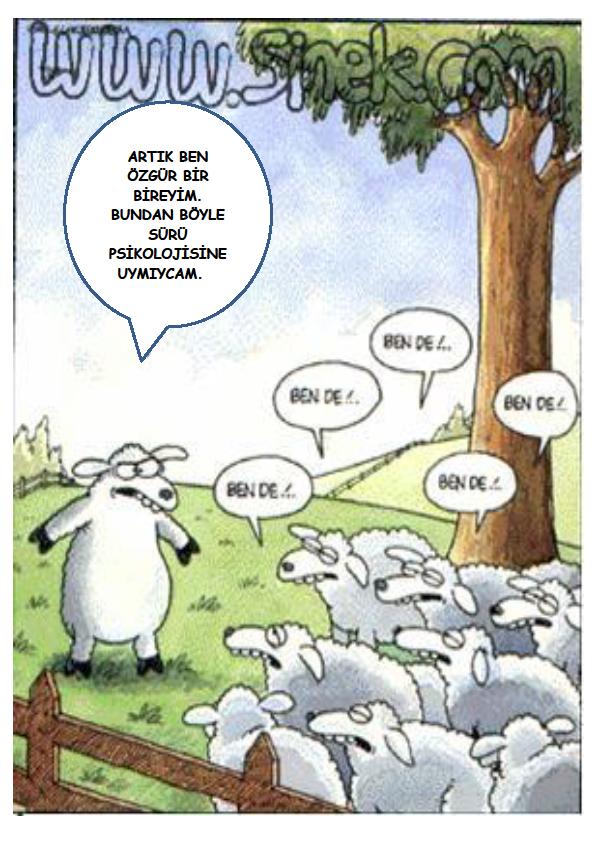 1- REDDETME BECERİLERİ; A. SÖZEL BECERİLER; Amaç bireyin yapmak istemediği bir durum ile ilgili olarak bir isteği veya bir ricayı nasıl kabul etmeyeceğini öğretmektir. «Hayır» Demek; 1.