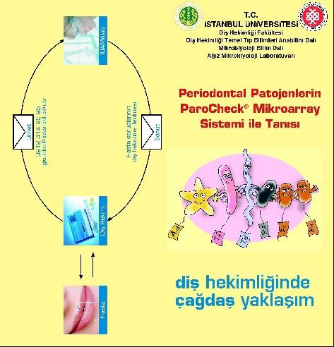 PAROCHECK MİKROARRAY TESTİ: Kullanım alanları : 1-Antibiyotik seçimi için -Erken, agressif, inatçı ve atipik periodontitis olgularında -Periodontal başlangıç tedavisi sonrası >5 mm derinlikli ya da