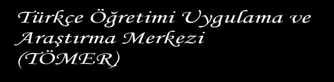 Hayır, yönetmeliğimiz gereğince üniversitemizde eğitim gören bütün uluslararası öğrenciler Türkçe öğrenmek zorundalar.