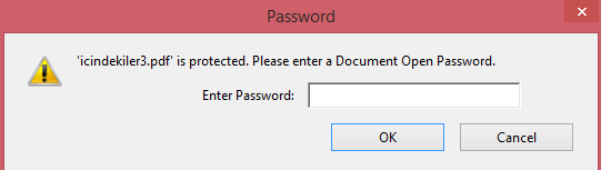 Eğer şifreyi, açma parolası olarak girersek belge açılırken bizden şifre isteyen pencere gelir. Şifre doğru girildikten sonra belge açılır.