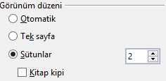 Pencerenin sağ alt kenarında bulunan sayfa görünüm düğmelerinden yan yana iki sayfaya tıkladığımız zaman sayfaların yan yana olduğu bir ekran gelir.