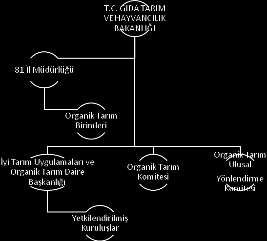 Şekil 19: Türkiye de Organik Tarım Yönetim Şeması Kaynak: Organik Tarımın Tarihçesi ve Gelişimi, Dilek SARI, GTHB, 2012 Organik Tarım Komitesi ve Organik Tarım Ulusal Yönlendirme Komitesinin oluşumu