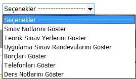 7.Sınav listelerine seçenekler bölümü eklenerek içerisine sınav notlarını göster,teorik sınav yerlerini göster,uygulama sınav randevularını göster,borçları göster,telefonları göster,ders notlarını