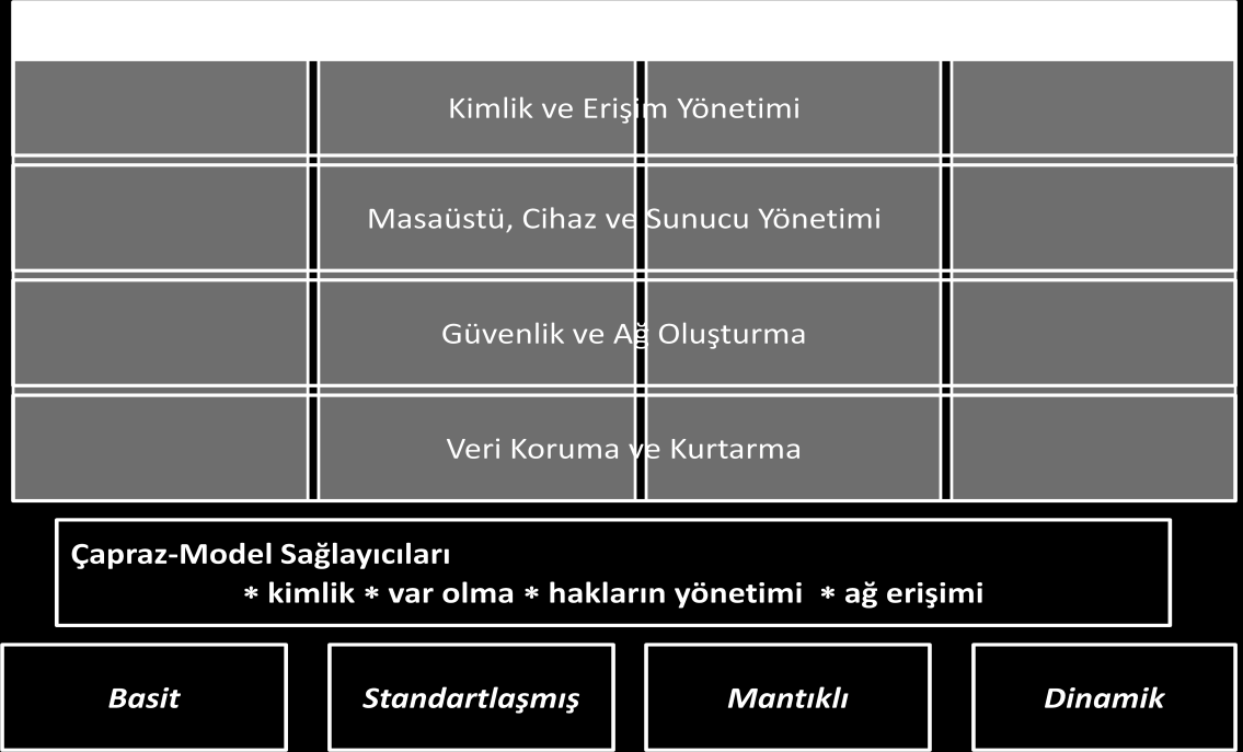 31 3.3.1 Microsoft Teknoloji Olgunluk Modeli (altyapı optimizasyonu) Bağlantılı devlet çatısının gerçekleģtirilebilmesinde; devletler, hizmet veriģ biçimlerini iyileģtirmek için birtakım