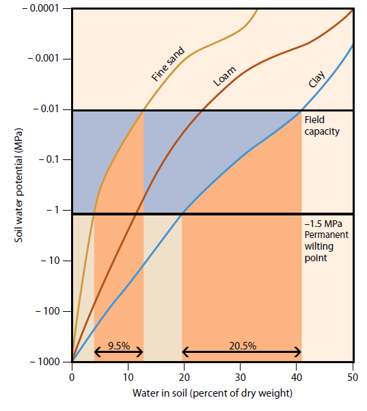 İnce kum Silt Kil Toprak su potansiyeli (MPa) Tarla kapasitesi -1.