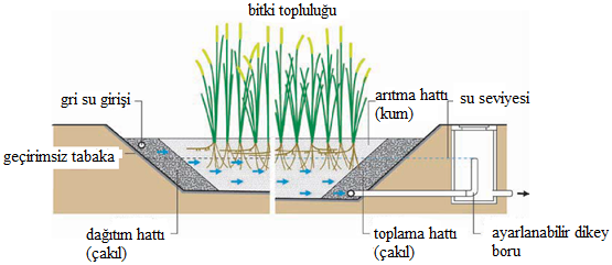 Üstün, G.E., ve Tırpancı, A.