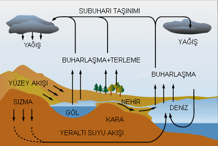 ġekil 1.9: Bitki-toprak-su çevrimi Bitki kök bölgesinde suyun yeterli düzeyde bulunup bulunmaması bitki geliģmesini, en çok etkileyen faktördür.