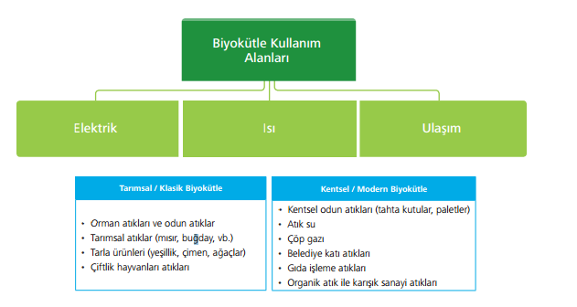 GİRİŞ Biyokütle, yaşayan ya da yakın zamanda yaşamış canlılardan elde edilen fosilleşmemiş tüm biyolojik malzemenin genel adıdır.