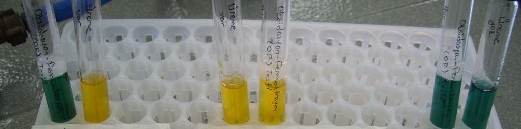 Sık Karşılaşılan Nonfermentatif Gram Negatif Basillerin Mikrobiyolojik Tanımlama Testleri 1. Oksidasyon-Fermentasyon Testi Bakterilerin glikozu hangi yolla parçaladıklarını gösterir.