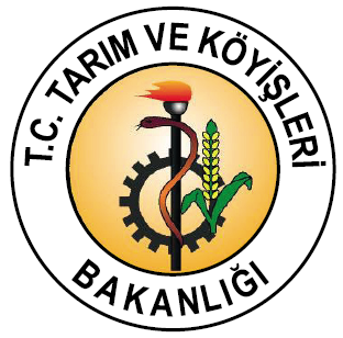 Genel Müdürlüğü KAVUN -