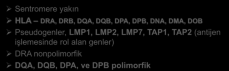 MHC sınıf II Sentromere yakın HLA DRA, DRB, DQA, DQB, DPA, DPB, DNA, DMA, DOB Pseudogenler, LMP1, LMP2, LMP7,