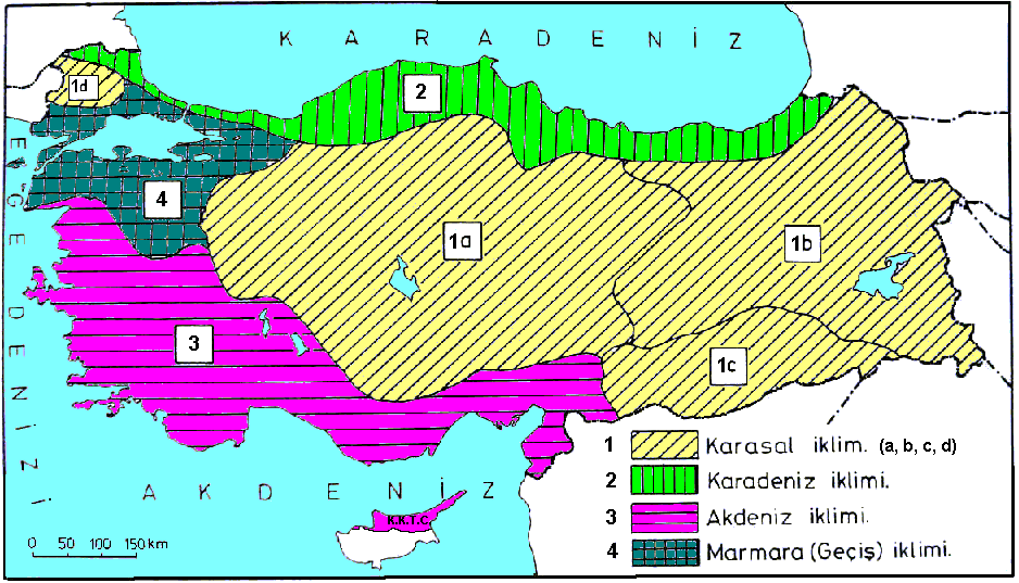 2000). Atalay (1997) a göre yurdumuzun kıyı bölgelerinde denizlerin etkisiyle daha ılıman iklim özellikleri görülür.