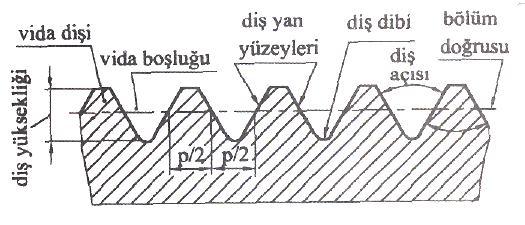 14: Ġç ve dıģ vida Vida profili, vida ekseninden geçen bir düzlemle vida diģinin kesiģmesinden meydana gelen profildir. Ġç ve dıģ vida profilleri çeģitli elemanlardan meydana gelir. ġekil 1.