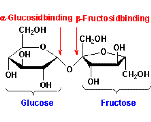 SÜKROZ Glikoz ve früktozdan meydana gelir.şeker pancarı ve kamışında bolca bulunur. Çay şekeri olarak bilinir.