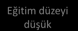 Sorun Ağacı - Örnek 2 Yüksek Oranlı Bebek ve Çocuk Ölümleri Bebek ve çocuklarda görülen enfeksiyon oranları yüksek Salgın Hastalıklar SONUÇ Bebeklerin ve Çocukların yetersiz beslenmesi Çocuklara