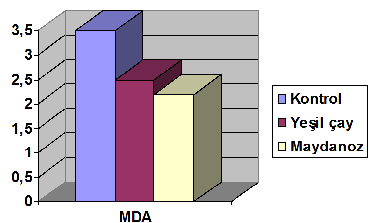 Tablo 1. Kontrol ve deney gruplarına ait GSH ve MDA düzeylerinin ortalama, standart hata ve gruplar arasındaki önemi. Kontrol Grubu (n = 8) Yeşil çay grubu (n = 8) Maydanoz grubu (n = 8) X±S.D X±S.