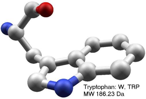 A 280 /A 260 Oranı (Warburg Christian Yöntemi Tirozindeki fenolik gruplar ve triptofandaki indolik gruplar nedeniyle birçok protein 280 nm de maksimum absorbsiyon gösterir.